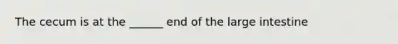 The cecum is at the ______ end of the <a href='https://www.questionai.com/knowledge/kGQjby07OK-large-intestine' class='anchor-knowledge'>large intestine</a>