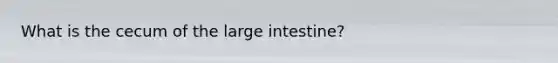 What is the cecum of the <a href='https://www.questionai.com/knowledge/kGQjby07OK-large-intestine' class='anchor-knowledge'>large intestine</a>?