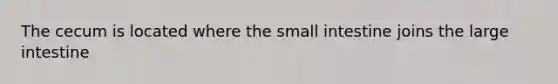 The cecum is located where the small intestine joins the large intestine