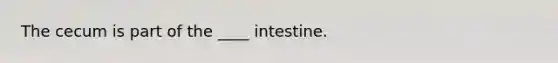 The cecum is part of the ____ intestine.