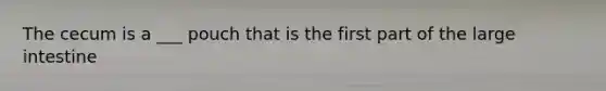 The cecum is a ___ pouch that is the first part of the large intestine