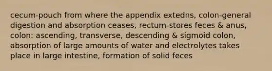 cecum-pouch from where the appendix extedns, colon-general digestion and absorption ceases, rectum-stores feces & anus, colon: ascending, transverse, descending & sigmoid colon, absorption of large amounts of water and electrolytes takes place in large intestine, formation of solid feces