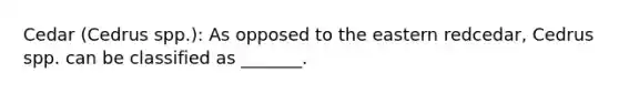 Cedar (Cedrus spp.): As opposed to the eastern redcedar, Cedrus spp. can be classified as _______.