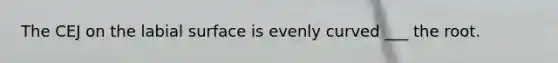 The CEJ on the labial surface is evenly curved ___ the root.