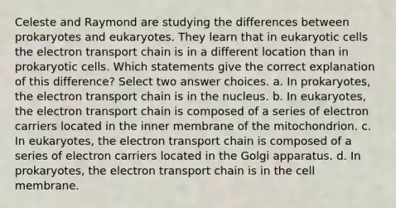 Celeste and Raymond are studying the differences between prokaryotes and eukaryotes. They learn that in eukaryotic cells the electron transport chain is in a different location than in prokaryotic cells. Which statements give the correct explanation of this difference? Select two answer choices. a. In prokaryotes, the electron transport chain is in the nucleus. b. In eukaryotes, the electron transport chain is composed of a series of electron carriers located in the inner membrane of the mitochondrion. c. In eukaryotes, the electron transport chain is composed of a series of electron carriers located in the Golgi apparatus. d. In prokaryotes, the electron transport chain is in the cell membrane.