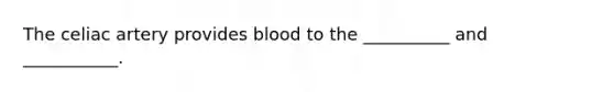 The celiac artery provides blood to the __________ and ___________.