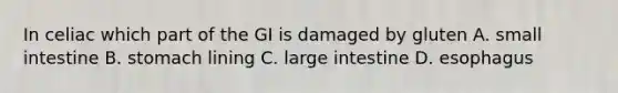 In celiac which part of the GI is damaged by gluten A. small intestine B. stomach lining C. large intestine D. esophagus