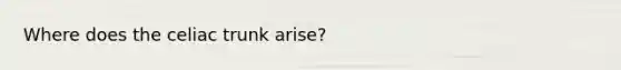 Where does the celiac trunk arise?