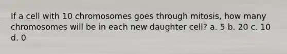 If a cell with 10 chromosomes goes through mitosis, how many chromosomes will be in each new daughter cell? a. 5 b. 20 c. 10 d. 0