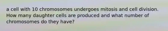 a cell with 10 chromosomes undergoes mitosis and cell division. How many daughter cells are produced and what number of chromosomes do they have?