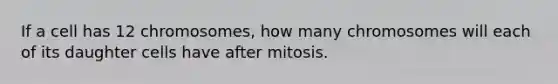 If a cell has 12 chromosomes, how many chromosomes will each of its daughter cells have after mitosis.