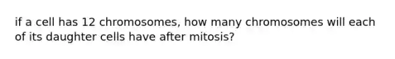 if a cell has 12 chromosomes, how many chromosomes will each of its daughter cells have after mitosis?