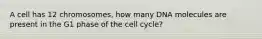 A cell has 12 chromosomes, how many DNA molecules are present in the G1 phase of the cell cycle?