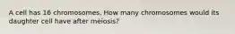 A cell has 16 chromosomes. How many chromosomes would its daughter cell have after meiosis?