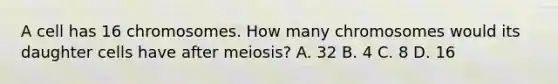 A cell has 16 chromosomes. How many chromosomes would its daughter cells have after meiosis? A. 32 B. 4 C. 8 D. 16