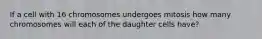 If a cell with 16 chromosomes undergoes mitosis how many chromosomes will each of the daughter cells have?