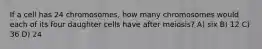 If a cell has 24 chromosomes, how many chromosomes would each of its four daughter cells have after meiosis? A) six B) 12 C) 36 D) 24