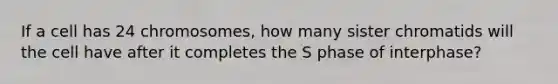 If a cell has 24 chromosomes, how many sister chromatids will the cell have after it completes the S phase of interphase?