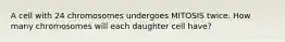 A cell with 24 chromosomes undergoes MITOSIS twice. How many chromosomes will each daughter cell have?