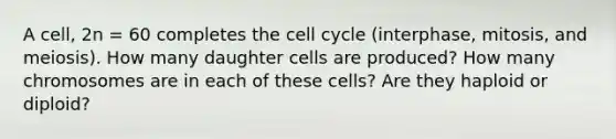 A cell, 2n = 60 completes the cell cycle (interphase, mitosis, and meiosis). How many daughter cells are produced? How many chromosomes are in each of these cells? Are they haploid or diploid?