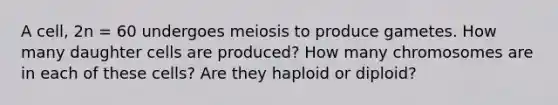 A cell, 2n = 60 undergoes meiosis to produce gametes. How many daughter cells are produced? How many chromosomes are in each of these cells? Are they haploid or diploid?