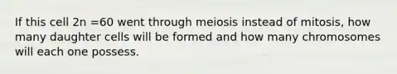 If this cell 2n =60 went through <a href='https://www.questionai.com/knowledge/krlvDMYQWR-meiosis-i' class='anchor-knowledge'>meiosis i</a>nstead of mitosis, how many daughter cells will be formed and how many chromosomes will each one possess.