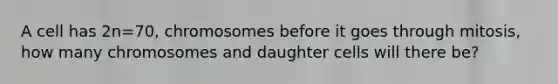 A cell has 2n=70, chromosomes before it goes through mitosis, how many chromosomes and daughter cells will there be?