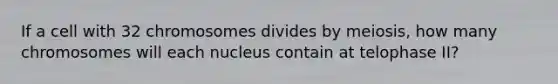 If a cell with 32 chromosomes divides by meiosis, how many chromosomes will each nucleus contain at telophase II?