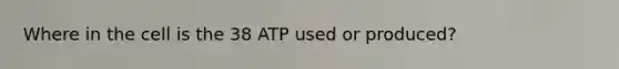 Where in the cell is the 38 ATP used or produced?