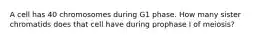 A cell has 40 chromosomes during G1 phase. How many sister chromatids does that cell have during prophase I of meiosis?