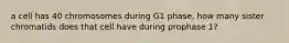 a cell has 40 chromosomes during G1 phase, how many sister chromatids does that cell have during prophase 1?