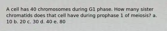 A cell has 40 chromosomes during G1 phase. How many sister chromatids does that cell have during prophase 1 of meiosis? a. 10 b. 20 c. 30 d. 40 e. 80