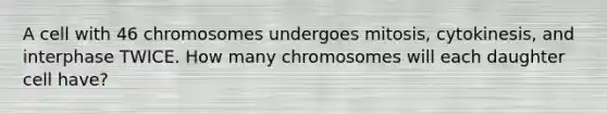 A cell with 46 chromosomes undergoes mitosis, cytokinesis, and interphase TWICE. How many chromosomes will each daughter cell have?