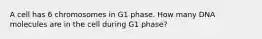 A cell has 6 chromosomes in G1 phase. How many DNA molecules are in the cell during G1 phase?