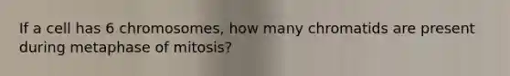 If a cell has 6 chromosomes, how many chromatids are present during metaphase of mitosis?