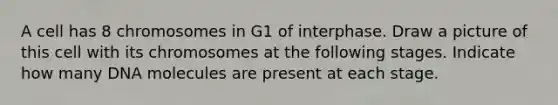 A cell has 8 chromosomes in G1 of interphase. Draw a picture of this cell with its chromosomes at the following stages. Indicate how many DNA molecules are present at each stage.