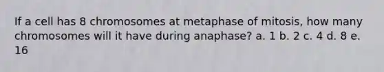 If a cell has 8 chromosomes at metaphase of mitosis, how many chromosomes will it have during anaphase? a. 1 b. 2 c. 4 d. 8 e. 16