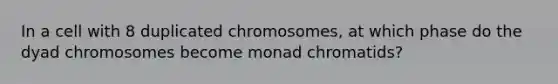 In a cell with 8 duplicated chromosomes, at which phase do the dyad chromosomes become monad chromatids?