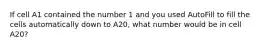 If cell A1 contained the number 1 and you used AutoFill to fill the cells automatically down to A20, what number would be in cell A20?