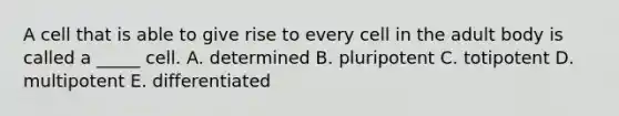 A cell that is able to give rise to every cell in the adult body is called a _____ cell. A. determined B. pluripotent C. totipotent D. multipotent E. differentiated