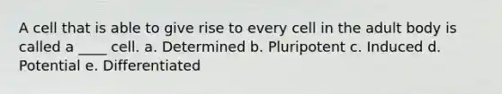 A cell that is able to give rise to every cell in the adult body is called a ____ cell. a. Determined b. Pluripotent c. Induced d. Potential e. Differentiated