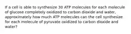 If a cell is able to synthesize 30 ATP molecules for each molecule of glucose completely oxidized to carbon dioxide and water, approximately how much ATP molecules can the cell synthesize for each molecule of pyruvate oxidized to carbon dioxide and water?