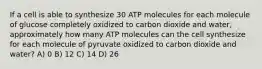 If a cell is able to synthesize 30 ATP molecules for each molecule of glucose completely oxidized to carbon dioxide and water, approximately how many ATP molecules can the cell synthesize for each molecule of pyruvate oxidized to carbon dioxide and water? A) 0 B) 12 C) 14 D) 26