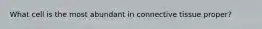 What cell is the most abundant in connective tissue proper?
