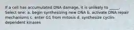 If a cell has accumulated DNA damage, it is unlikely to _____. Select one: a. begin synthesizing new DNA b. activate DNA repair mechanisms c. enter G1 from mitosis d. synthesize cyclin-dependent kinases