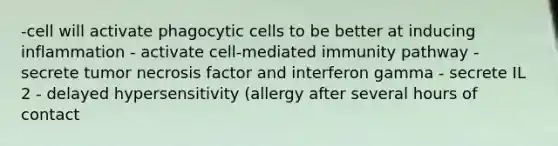 -cell will activate phagocytic cells to be better at inducing inflammation - activate cell-mediated immunity pathway - secrete tumor necrosis factor and interferon gamma - secrete IL 2 - delayed hypersensitivity (allergy after several hours of contact