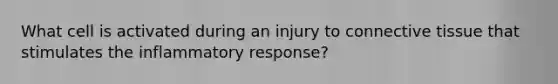 What cell is activated during an injury to connective tissue that stimulates the inflammatory response?