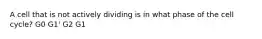 A cell that is not actively dividing is in what phase of the cell cycle? G0 G1' G2 G1