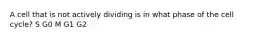 A cell that is not actively dividing is in what phase of the cell cycle? S G0 M G1 G2