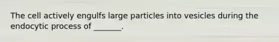 The cell actively engulfs large particles into vesicles during the endocytic process of _______.